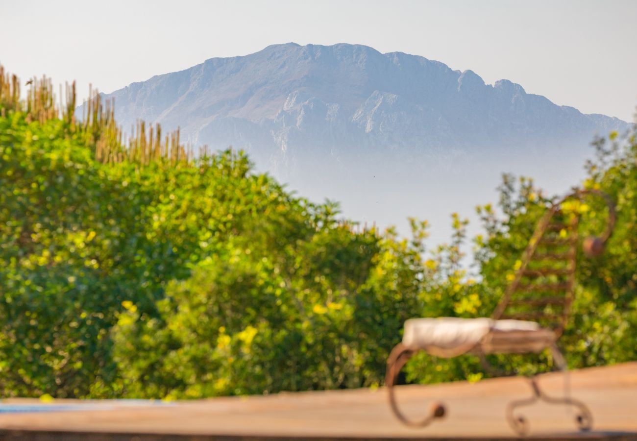 Villa in Tarifa - 204 - Casa Los Helechos Villa in Tarifa - 204 - Casa Los Helechos