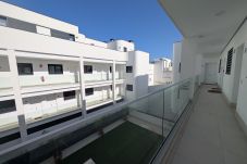 Studio in Tarifa - 919 -  Livingtarifa Black Palm