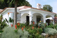 Cottage in Tarifa - 266 - Casa Los Acebos
