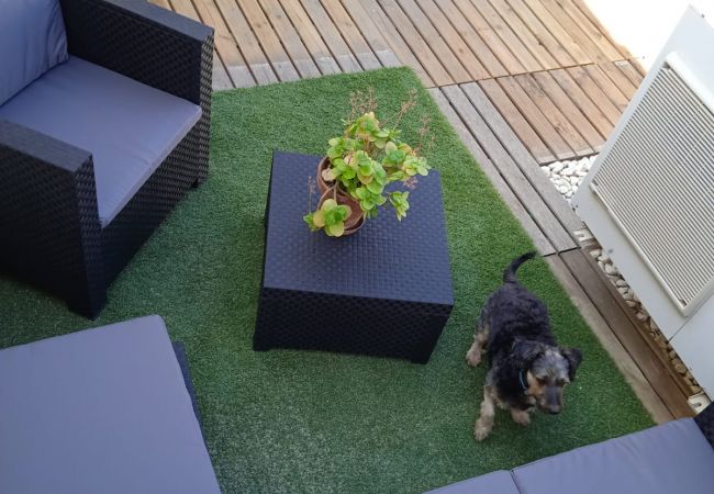 Apartment in Tarifa - 159 - Apartamento Nano Apartment in Tarifa - 159 - Apartamento Nano