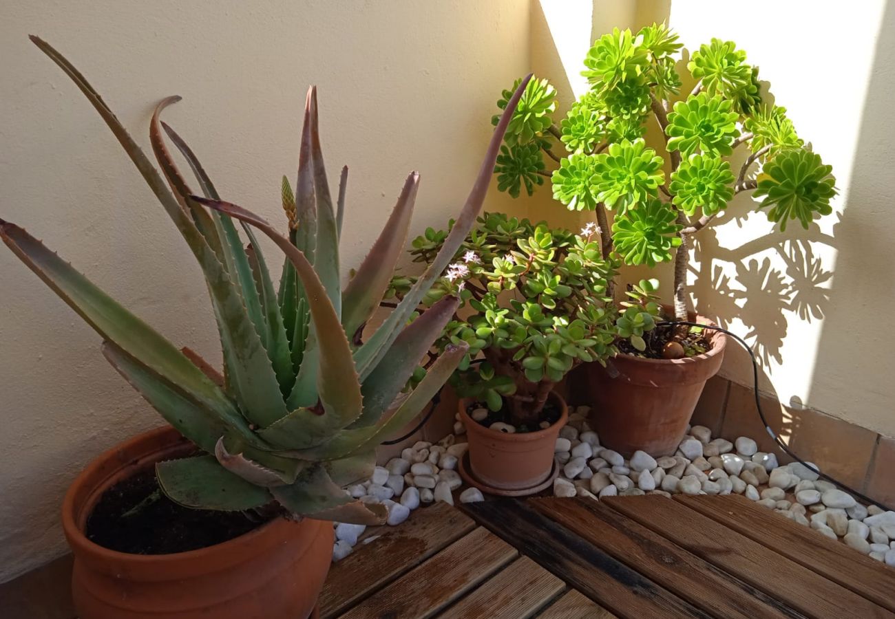 Apartment in Tarifa - 159 - Apartamento Nano Apartment in Tarifa - 159 - Apartamento Nano