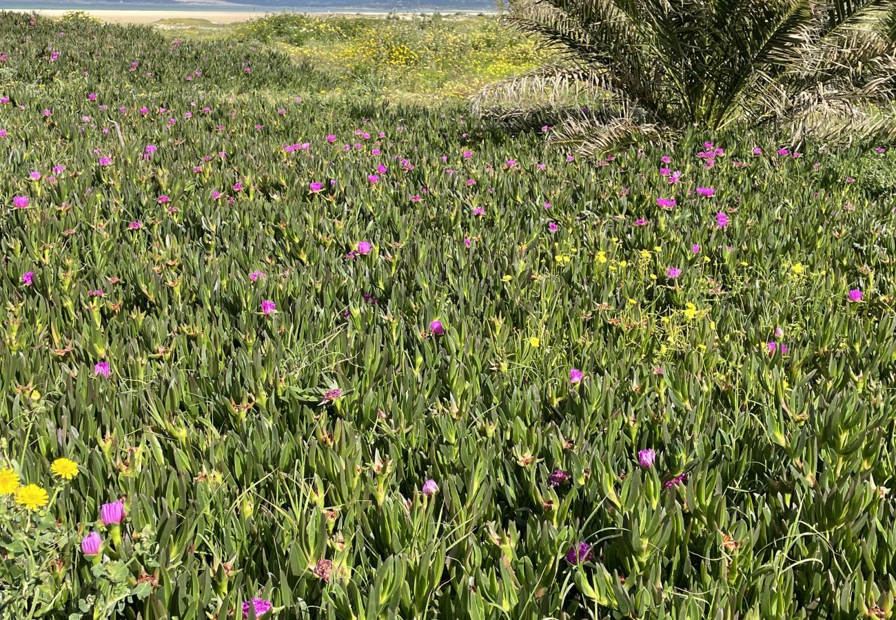 Studio à Tarifa - 203 Estudio Suite Tranquilo Studio à Tarifa - 203 Estudio Suite Tranquilo