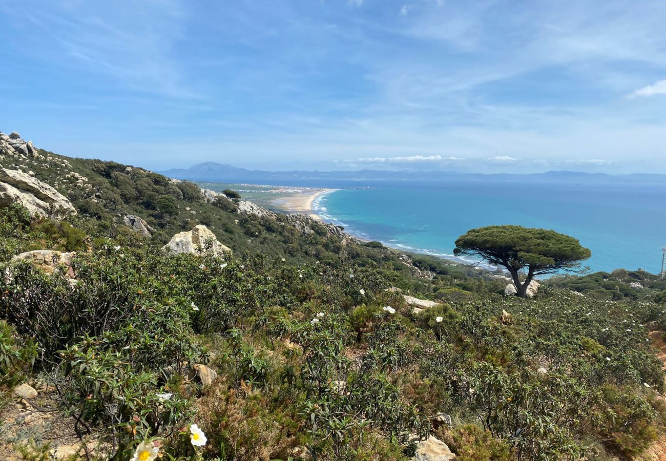 Studio à Tarifa - 203 Estudio Suite Tranquilo Studio à Tarifa - 203 Estudio Suite Tranquilo